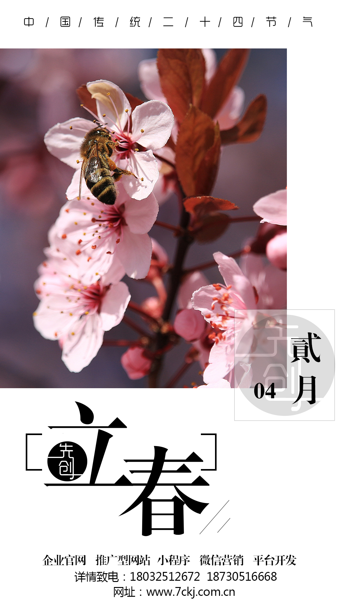 唐山網站優(yōu)化